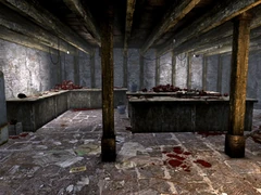 MMGO basement