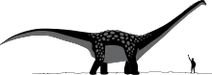 Antarctosaurus