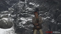 Red dead nastas