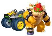 Bowsercrushcan7