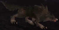 Image of Darkmoon Wolf