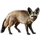 Item bat-earedfox 01.png