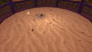 Darkmoon Arena Field