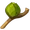 Treechnid Bud