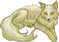 TwilightsilvfoxFemaleDN