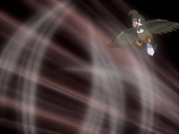 Ash Staravia Gust