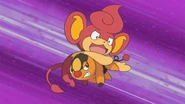 Ash Tepig Tackle