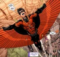 Red Robin 0043