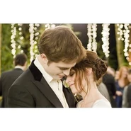 Bella's wedding