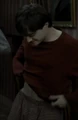 Boxers.jpg