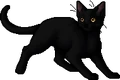 Breezepelt.apprentice