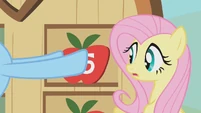 Fluttershy looks at Rainbow Dash's hooves S1E13