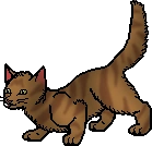 20111230232536!Crookedstar.apprentice.png