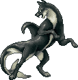 Akhlut Adult.gif