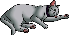 Shnuky.kittypet