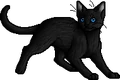 Crowfeather.apprentice