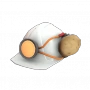 90px-Backpack Aperture Labs Hard Hat.png