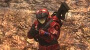Spartan Romeo-037