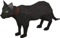 Bob the Jagex cat.png