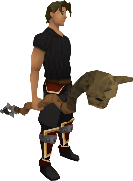 Cat staff equipped