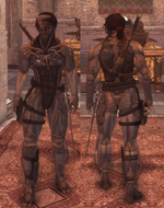 Ezio-raiden-brotherhood