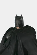 Batsbegins003