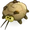 Chefish