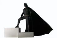 BatsBegins