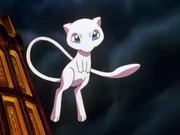 P01 Mew