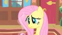 Fluttershy hmm S01E22