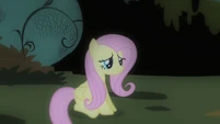 Fluttershy banished S01E22