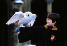 Harry Potter and Hedwig
