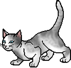 20111230171051%21Ivypool.apprentice.png