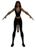 CharModelCheetah