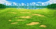 FFVA Plains BG