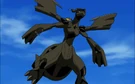 P14 Zekrom