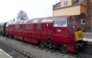 Diesel10'sbasis