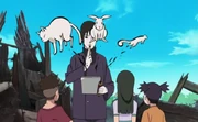 Sai cat squirrel and rabbit