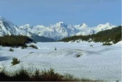 Tundra