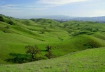 Hills