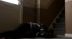 Episode7761