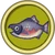 Salmón