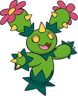 Maractus Dream