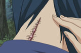 Tokikoneck