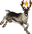 Calidaes Reindeer Adult Female.gif