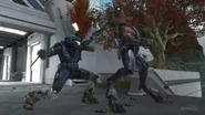Jackal Assassination