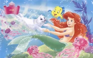 Ariel Wallpaper2