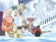 Luffy fleht Kureha an, seine Freunde zu retten