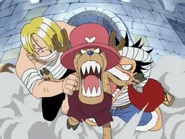 Sanji und Luffy klammern sich an Chopper