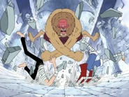 Chopper verpasst Sanji und Luffy eine Kopfnuss